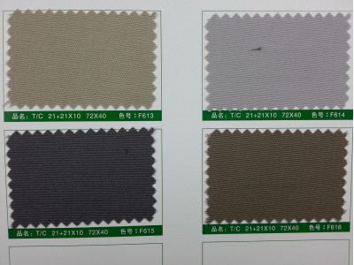 SD-DGYE   滌棉厚珠帆   T/C    21+21*10   72*40 細節-1